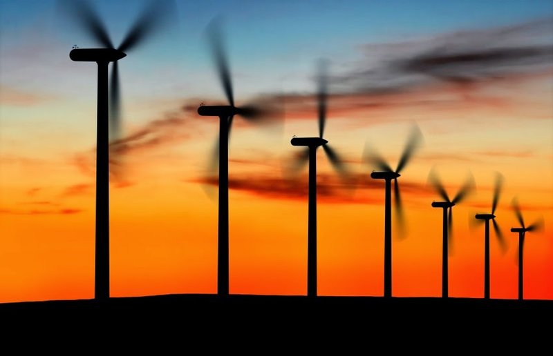 Cientistas alertam para impactos ambientais de fontes renováveis de energia