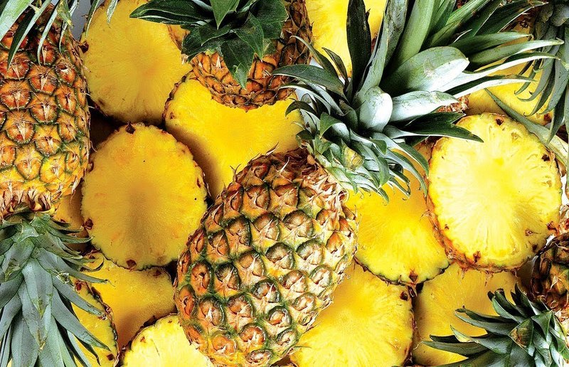 Abacaxi pode ser produzido o ano inteiro em Rondônia