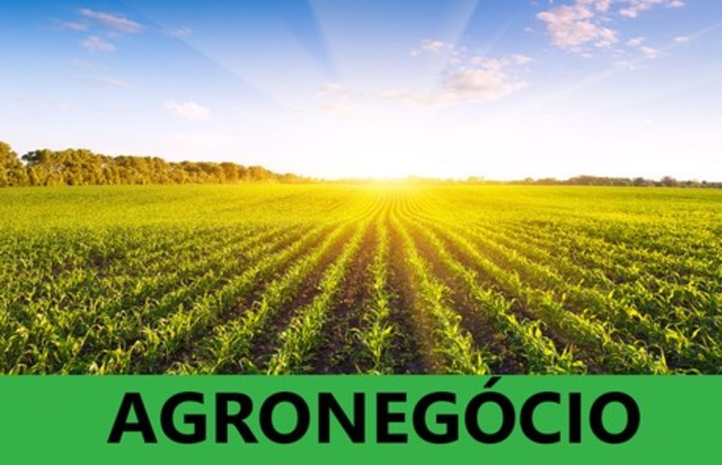Fusões preocupam o agronegócio em RO