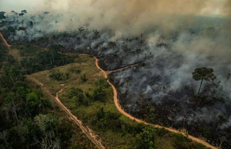A Amazônia pode desaparecer como floresta e isso vai impactar o mundo todo